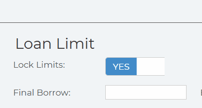 Loan Limits lock.gif